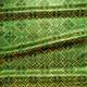 Brocade (Royal lily) green 